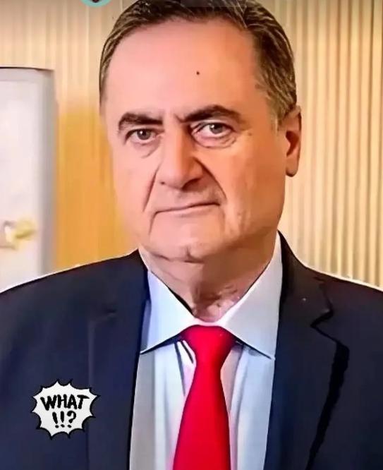 以色列传来消息！
4月7日，以色列国防部宣布了一个重磅消息，说要加速生产“箭”式