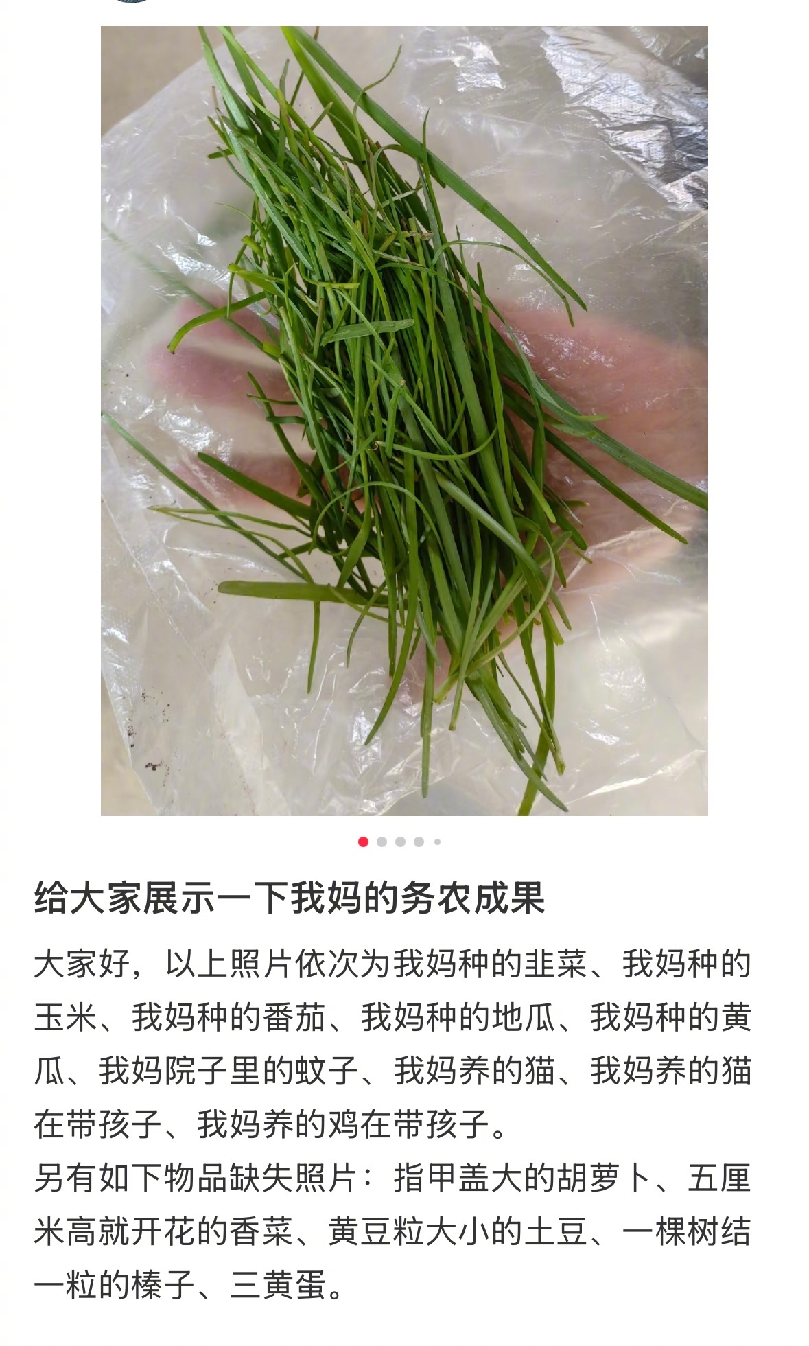 我妈适合当御兽宗的弟子 ​​​