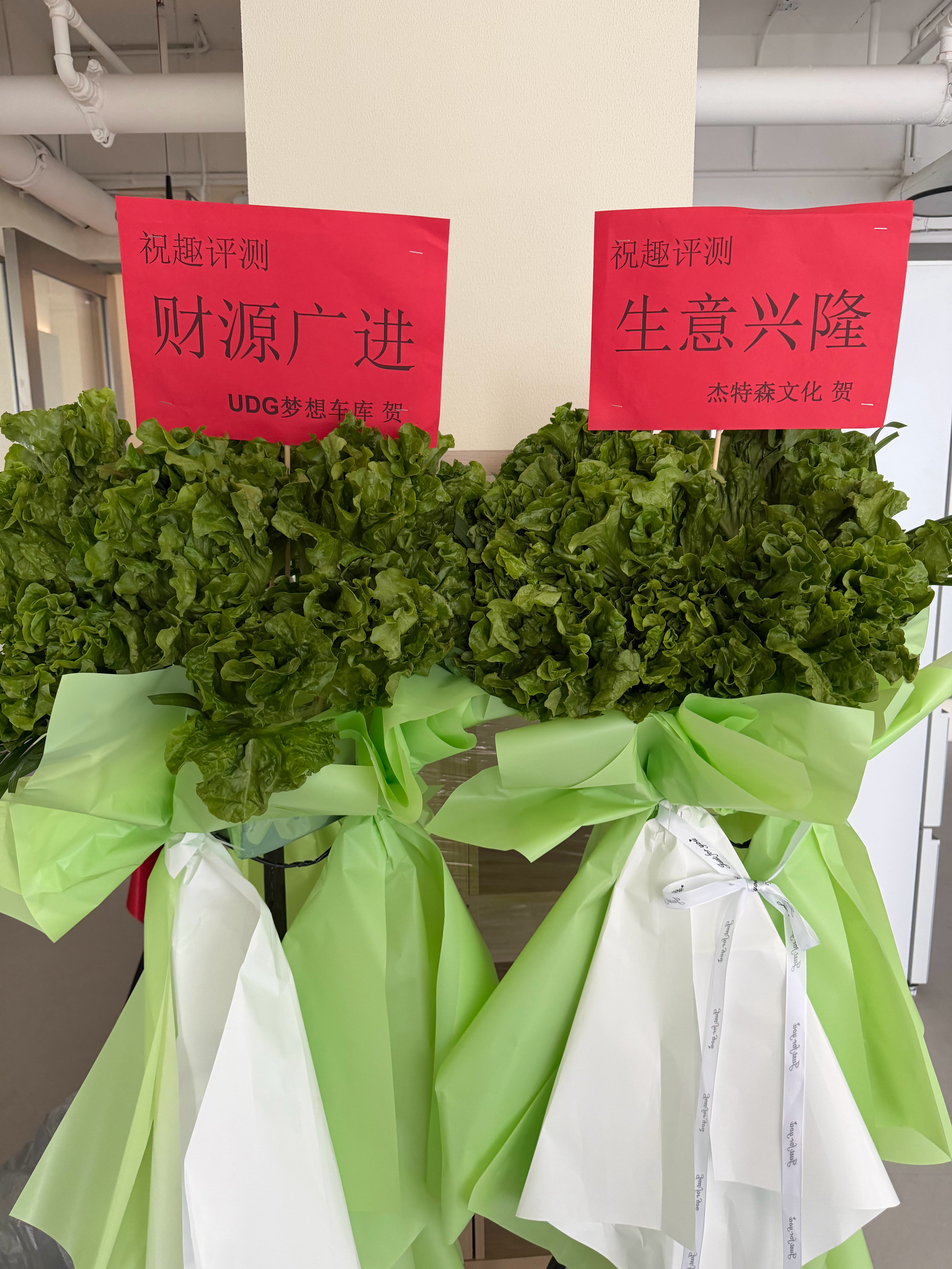 趣评测公司搬迁，收到“生菜”开业花篮，寓意“生财”，来自UDG梦想车库 