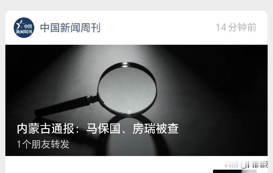 马保国被查