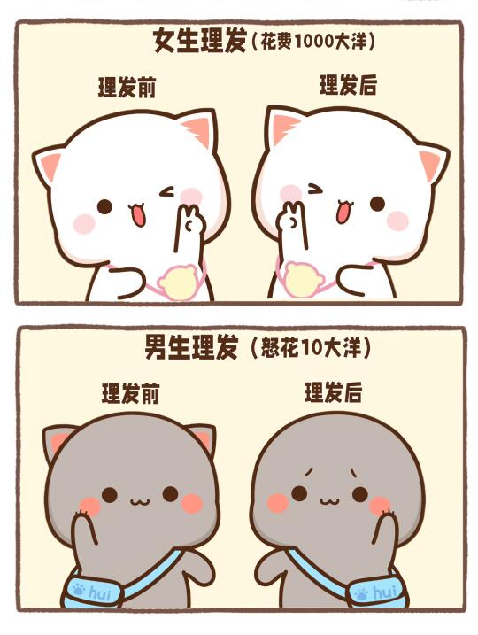 灰灰我啊10块大洋剃的头发真不戳啊