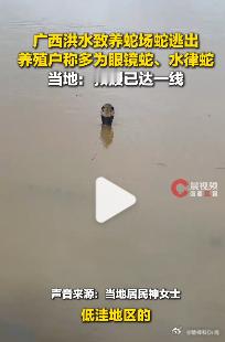 【广西洪水致养蛇场蛇逃出有眼镜蛇，当地回应洪水冲毁养蛇场村民被咬伤：救援已达一线