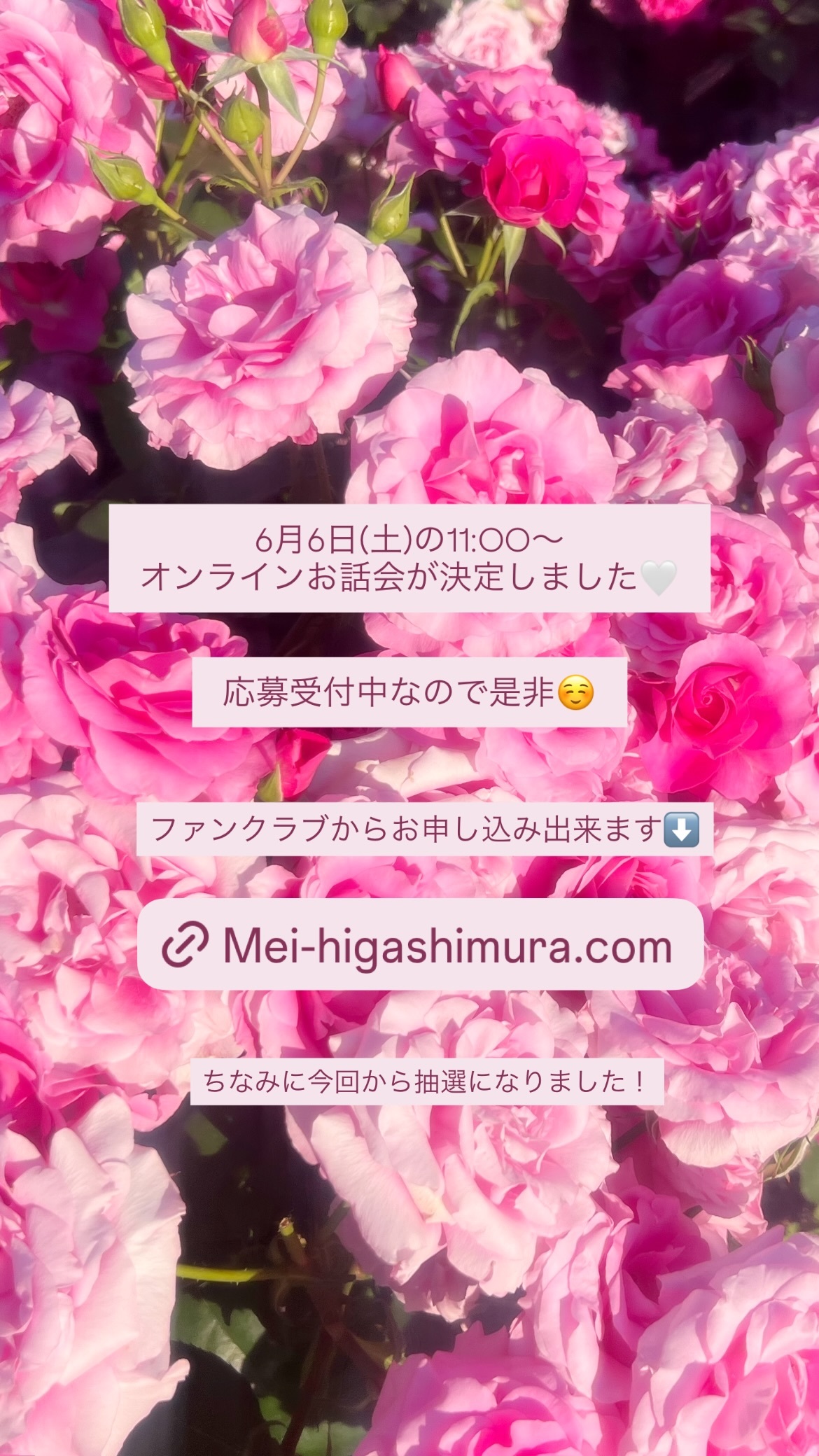 東村芽依🍓meigram