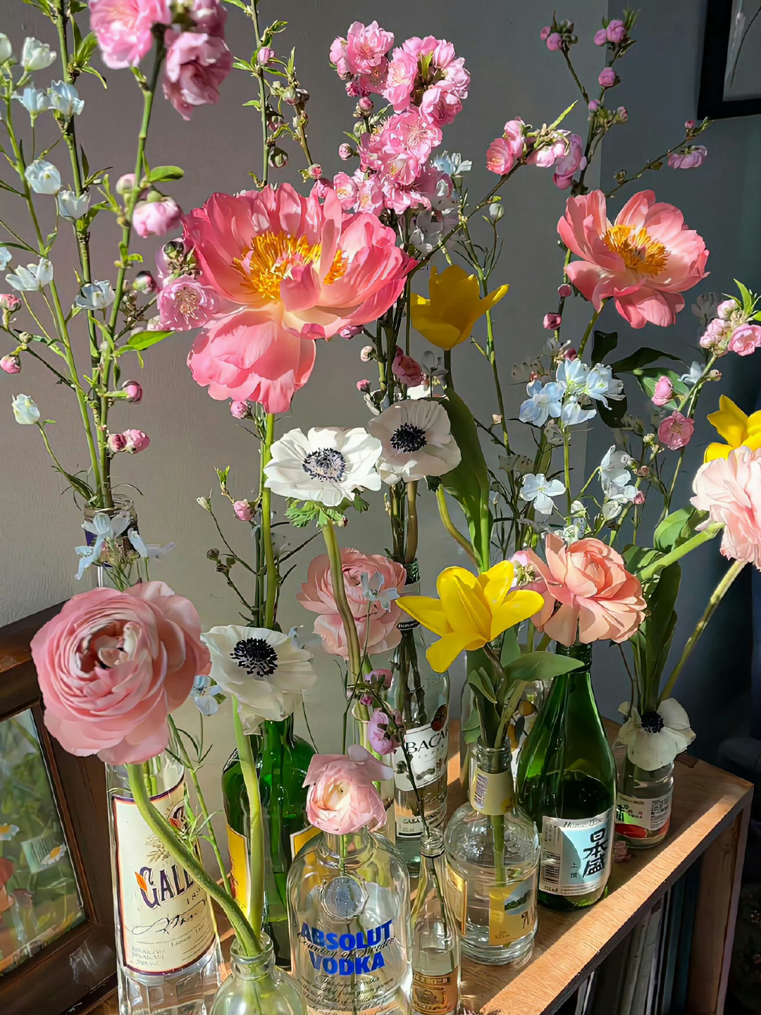 春天我的酒瓶会开花🌼🌺🌸🌹🪻 ​​​
