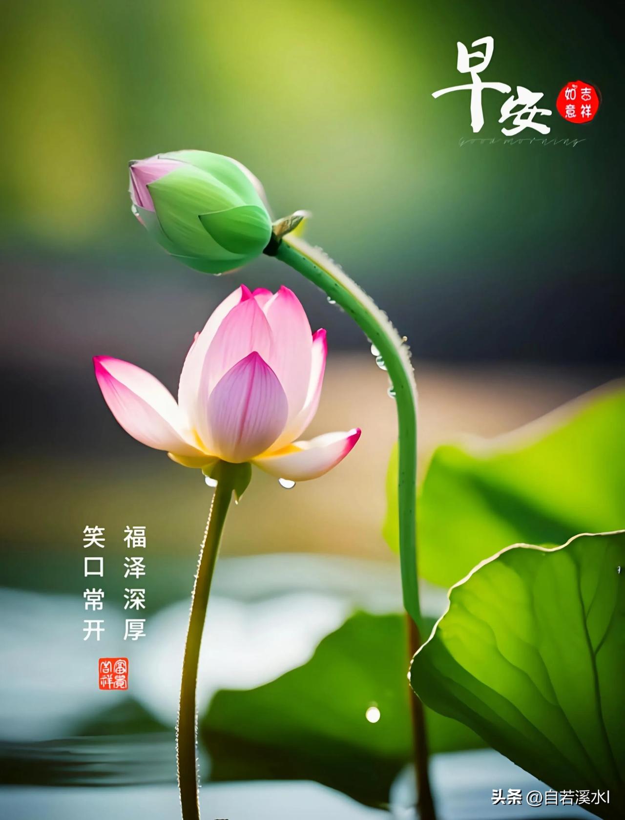 早安，醒来第一件事，便是祝你今日轻松快乐。