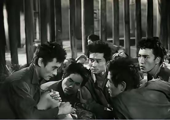 1949年，高邮解放。十几名地下党被拖出去枪毙，组织认定他们已牺牲，谁知，几天后