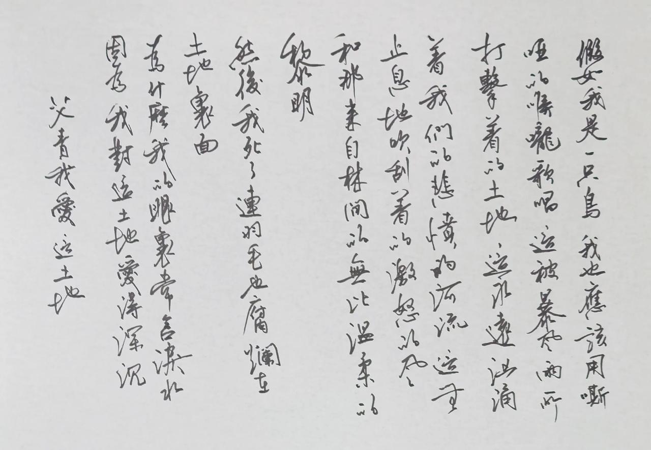 美工钢笔书写，流畅婉转，牵丝自然，笔墨沉郁，贴合《我爱这土地》深沉真挚的情感。字