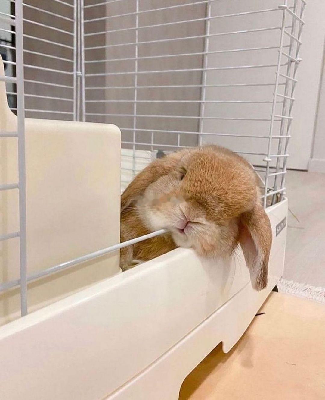 等待邵群回家的小程秀 