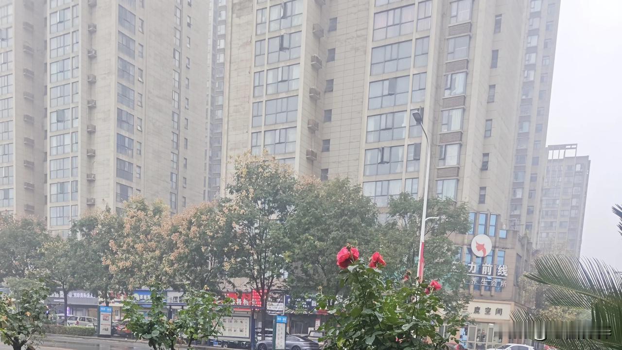 #秋日生活记录#
上联:春风桃李花开日
下联:夏雨杏梅果老时
         