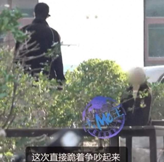 #张铭恩女友 下跪#一场路边争吵，撕开亲密关系最令人揪心的模样