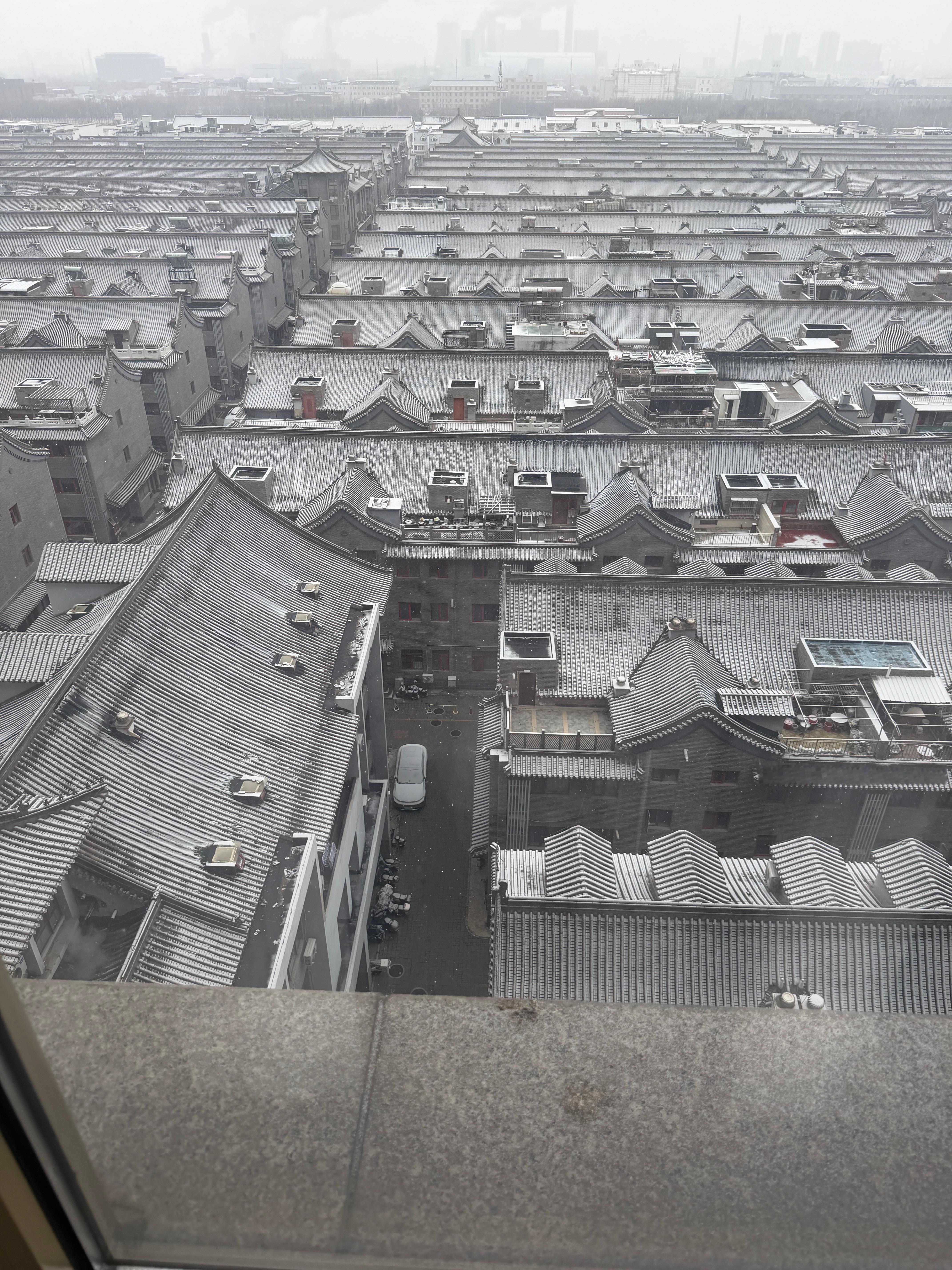 初雪咯❄️本想去故宫 下楼的一秒速冻了 麻溜跑回来