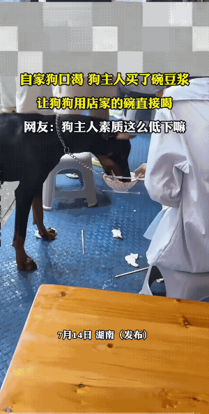 她把碗一起买了喂完拿走，也不是太大的事儿。就怕她买了碗，喂了狗后，就把碗放在桌子