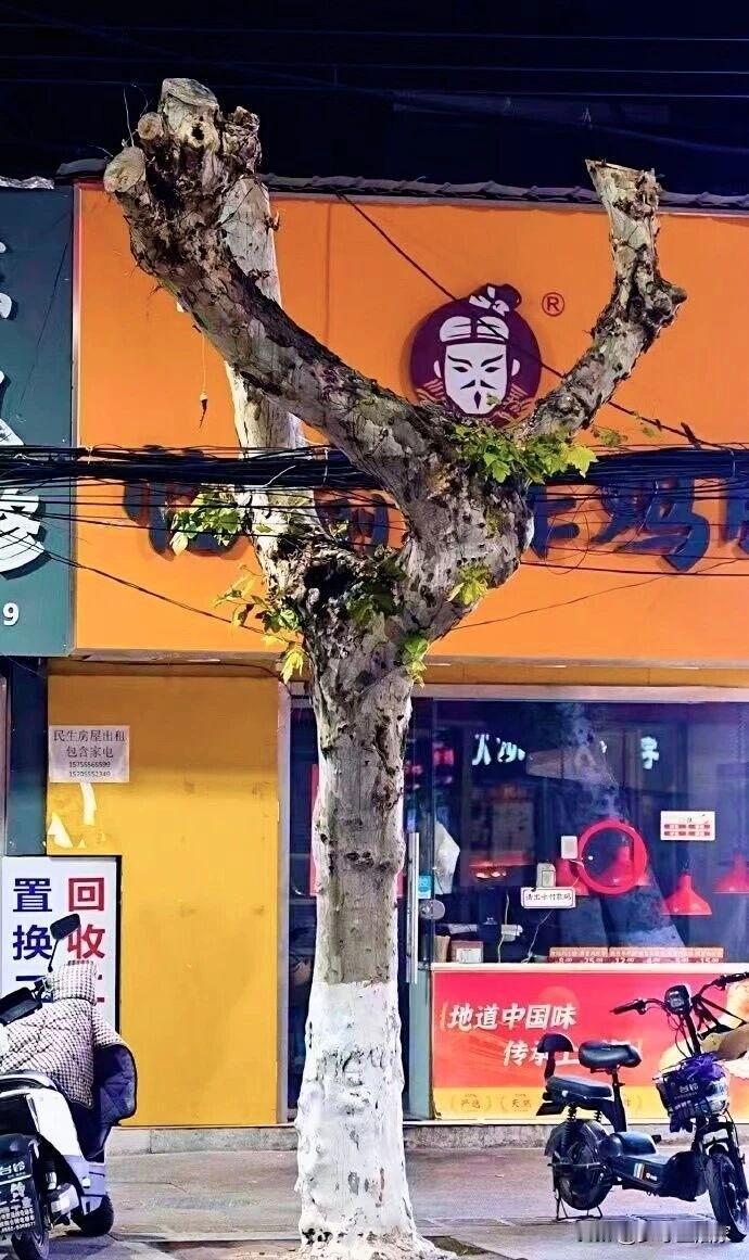 什么叫做刚刚好！

艺术创作的灵感，都赶不上现实的具象化。