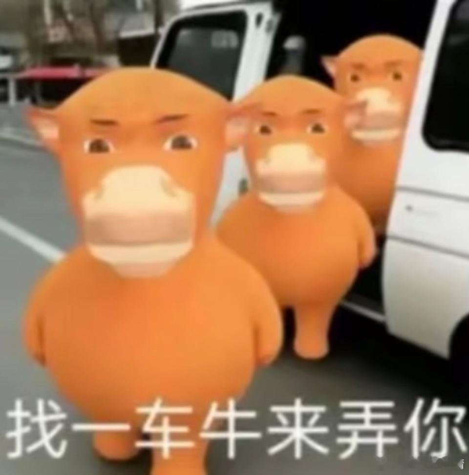真的耶，大名不能上rs了 