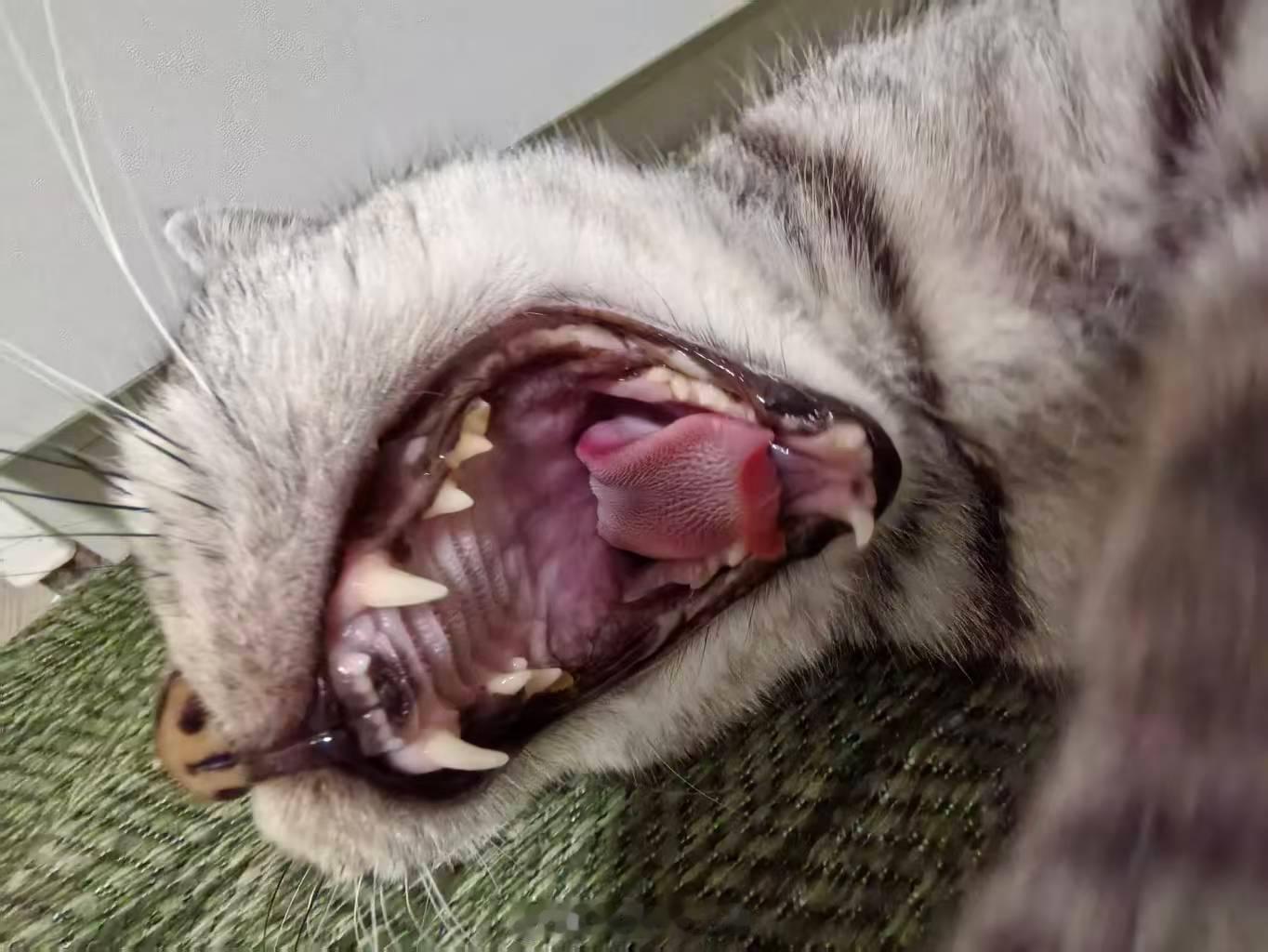 呀啦嗦~~~~~~~~ ​​​