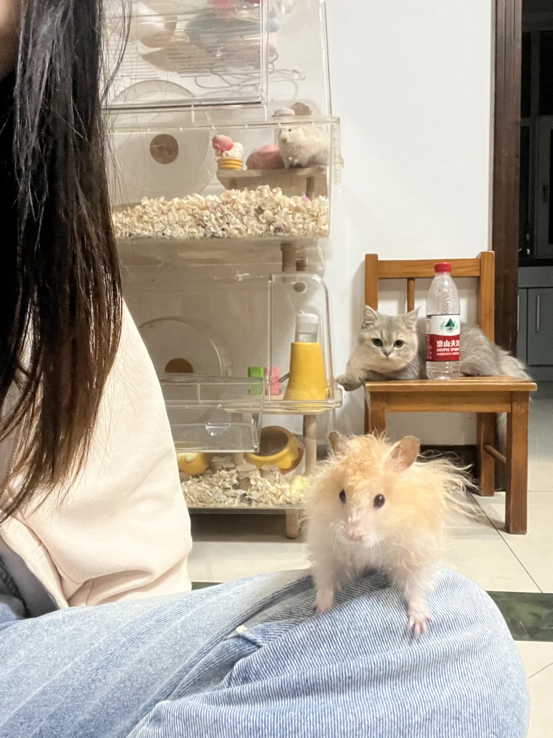 相亲相爱的一家人