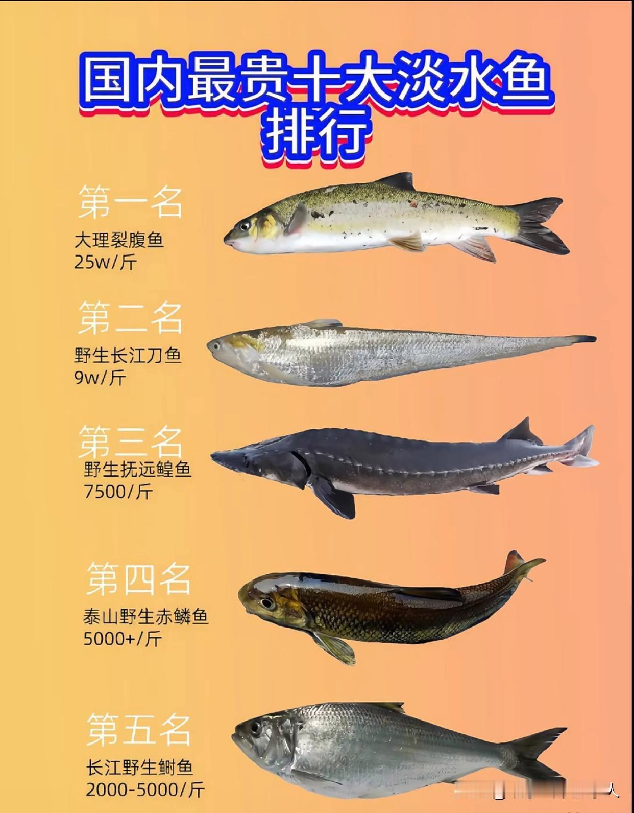 大浪中的鱼价。