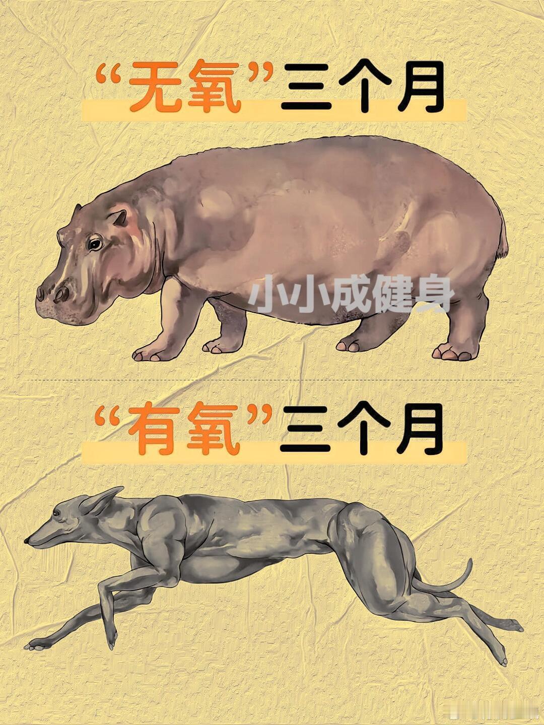 有氧和无氧的区别#篮球热力一夏# ​ cr：篮球实战指南 ​​​