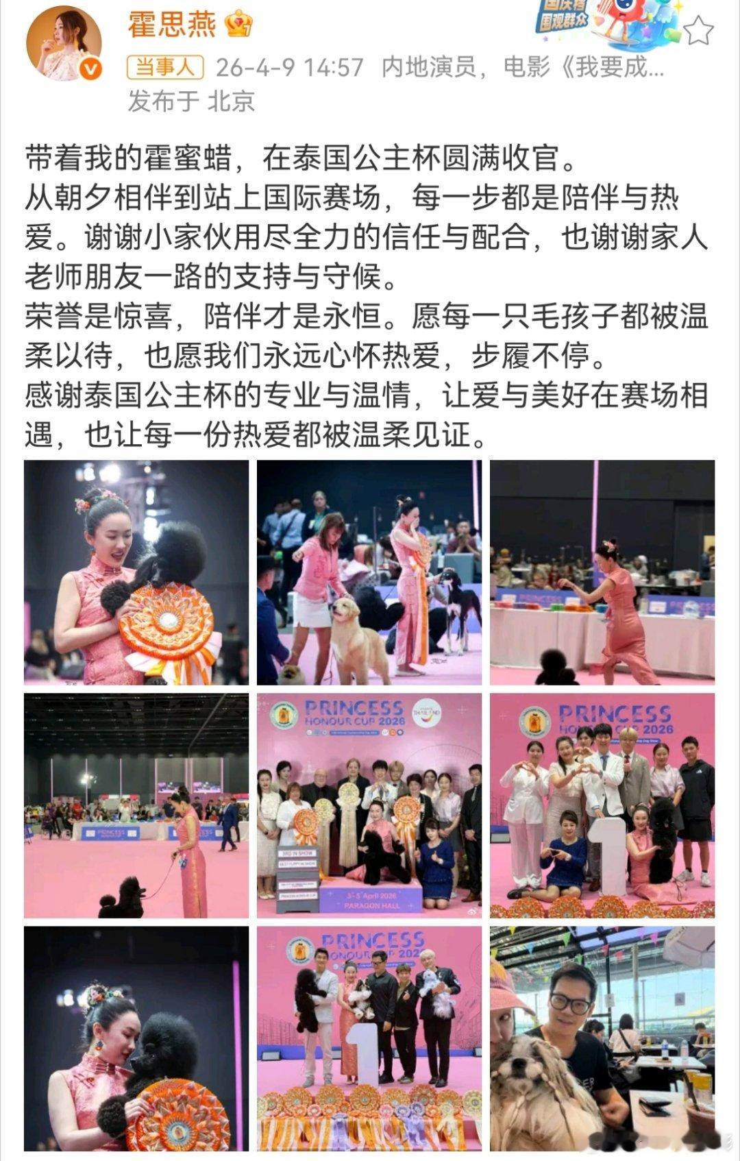 霍思燕回应爱犬在泰国夺冠第一次见一个明星愿意潜心学习小宠物的知识和赛事，霍思燕真