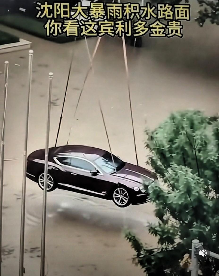 沈阳一位宾利车主真是太有远见了，台风要来了，他提前雇了吊车把车吊起来，结果他的车