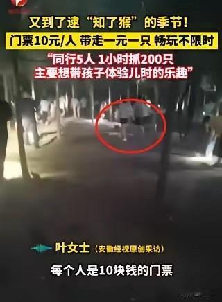 “我的天！这跟捡钱没啥区别啊！”2025年6月，江苏徐州有个老板可真会做生意——