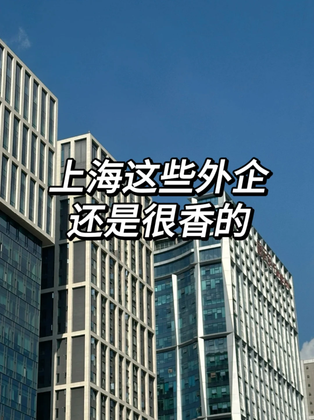 上海这些外企还是很香的