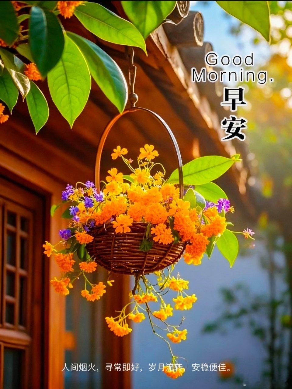 周中已至，笑一笑，烦恼跑。难得糊涂，喜多忧少，知足常乐，岁月静好。愿今日小确幸，