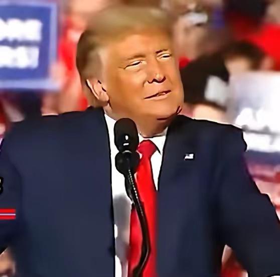 特郎普这一下子脸都绿了吧！他所领导的共和党在三个重要州州长选举中落败。从严格意义