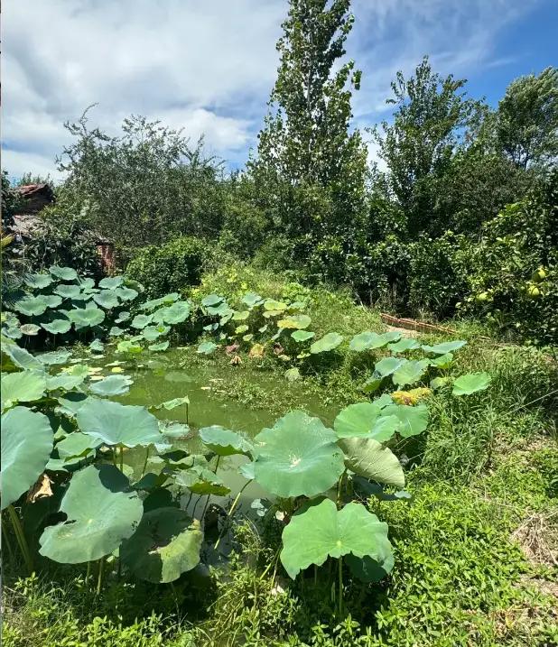 人这一辈子，最傻的事就是跟不尊重你的人较劲
别和不尊重你的人较劲
 

 
生活