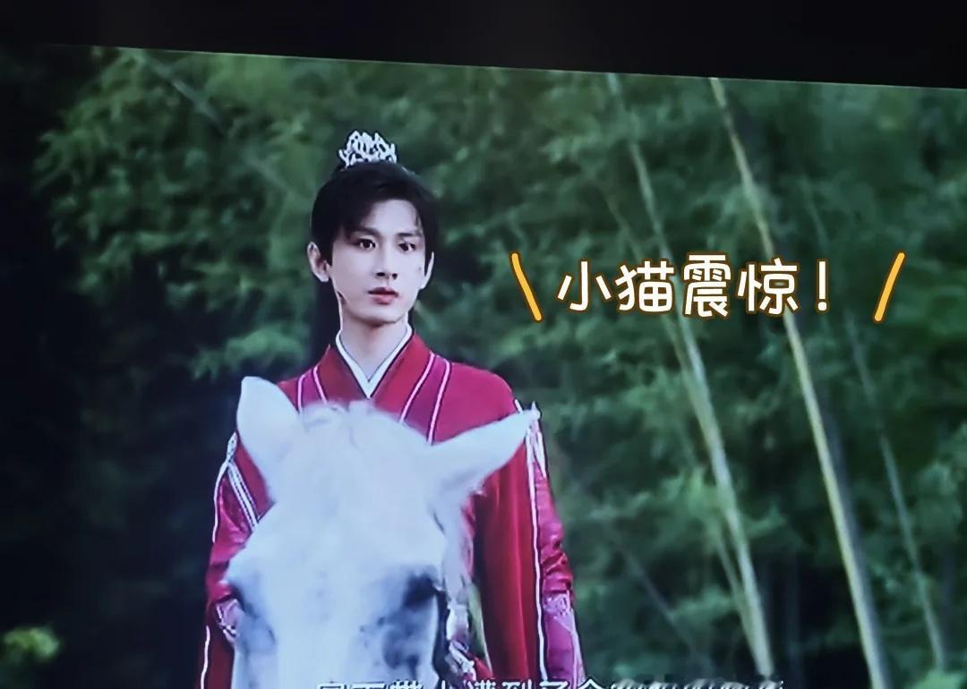 好圆一颗头，李相夷萌萌的，11，12，13集
不儿，笛飞声，他都这样了，你咋还给
