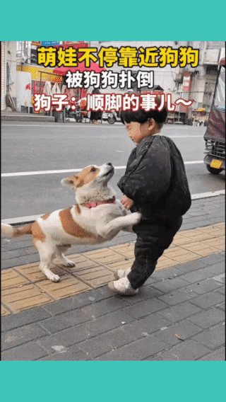 先干翻你！
敢挑衅我？
绝不给你出手的机会！