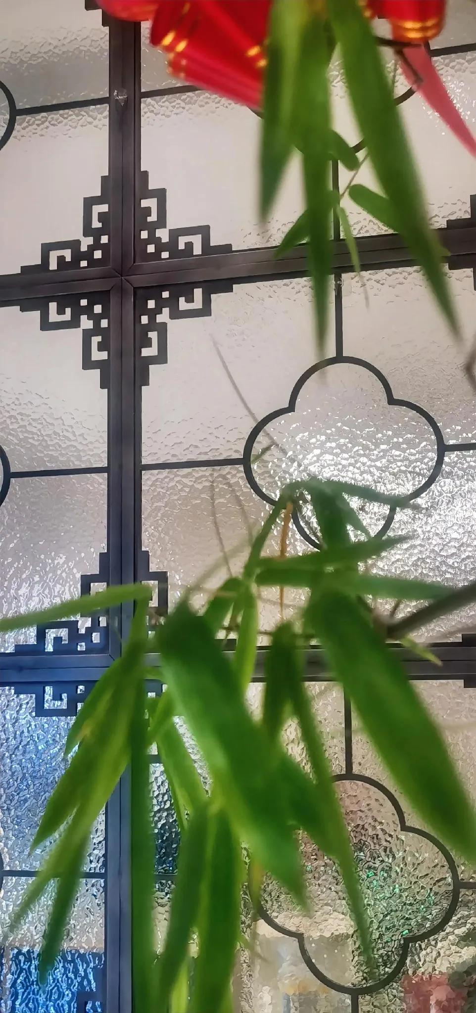 竹影摇曳间，红梅映窗前。