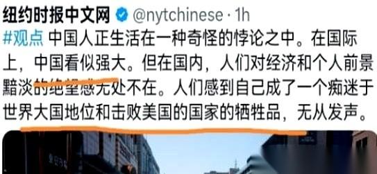 刷到一个说法，差点没给我笑喷。
说我们中国人活在一种“悖论”里。外面看，国家特强