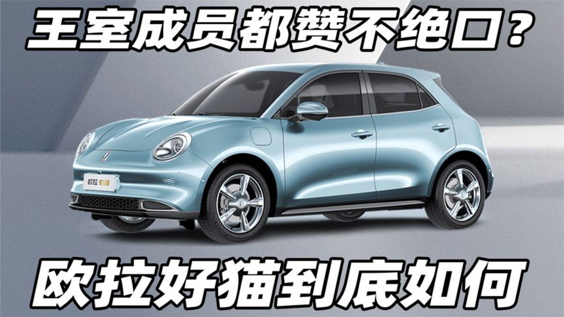 王室成员都赞不绝口，欧拉好猫到底咋样？