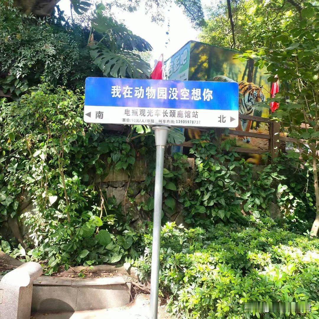 老公不忠，女人也不能这样做。一女子刚跟老公结婚一年多，发现老公外面有人后，她害怕