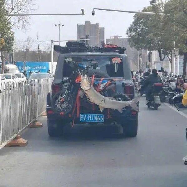 那一天，他转遍了这座城市的大街小巷，东南西北。 