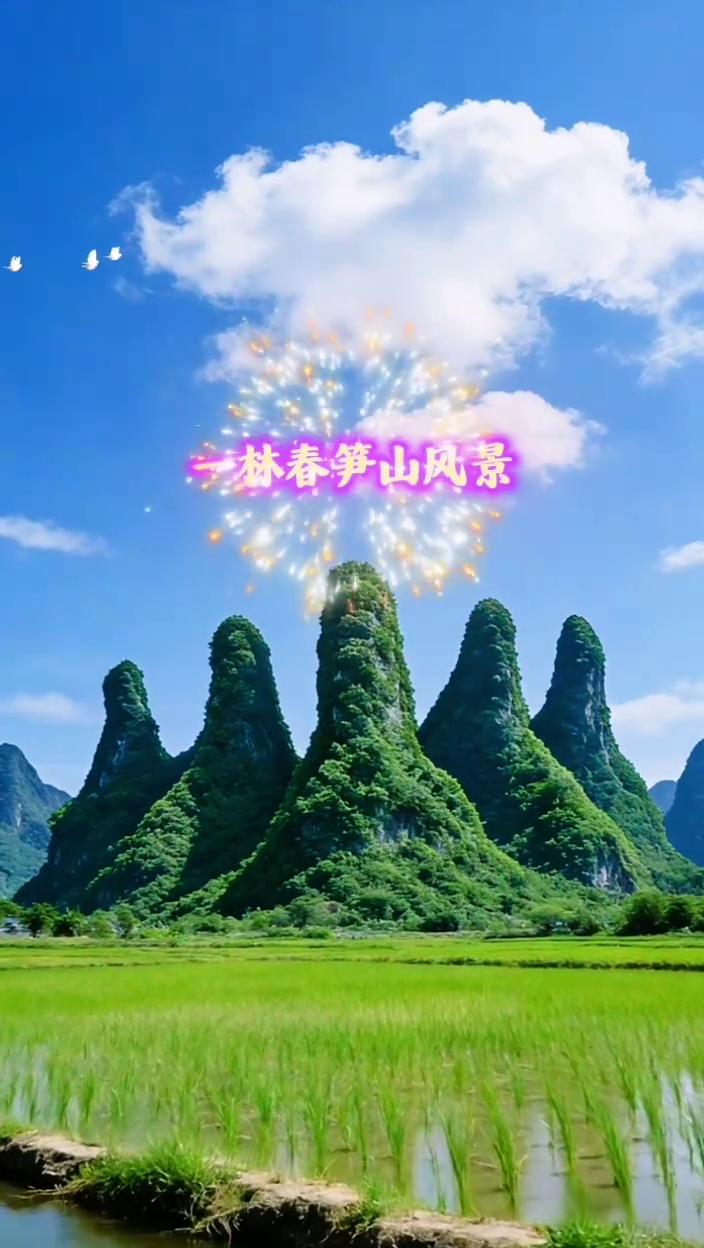 一林春笋山风景。