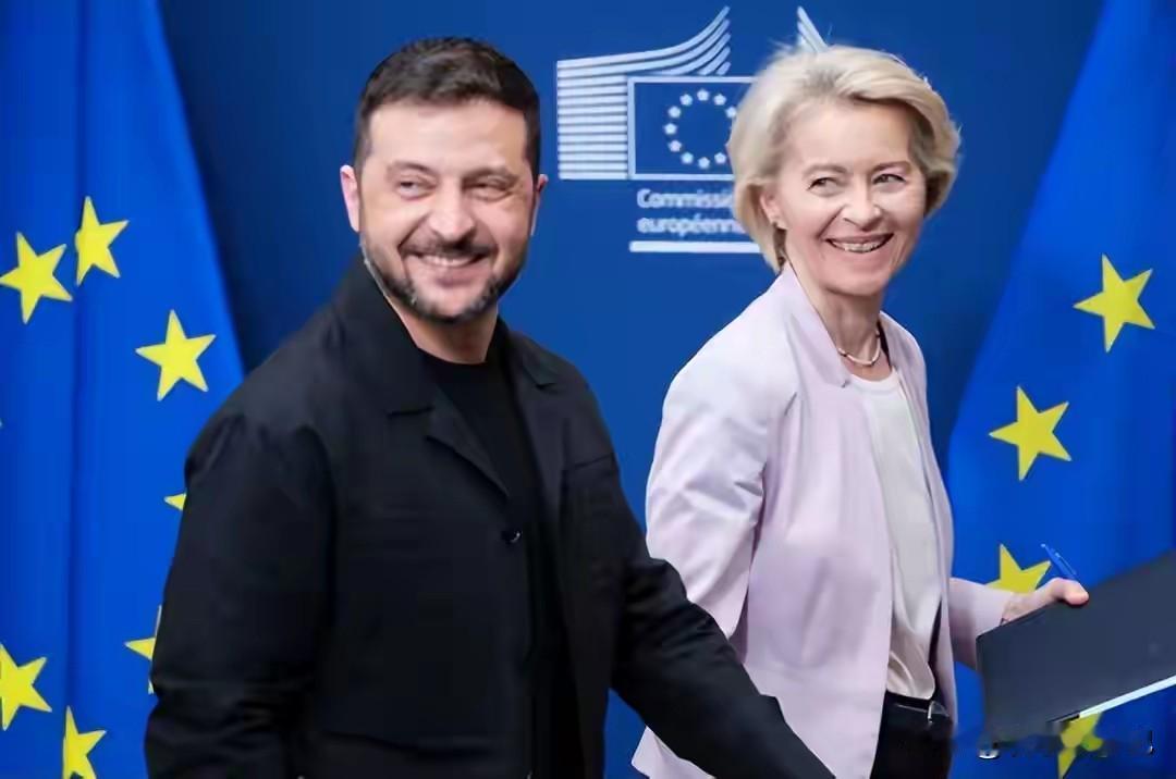 于布鲁塞尔正举行着欧盟峰会，各国领导人面前摆着一个棘手议题，即是否把欧盟境内被冻