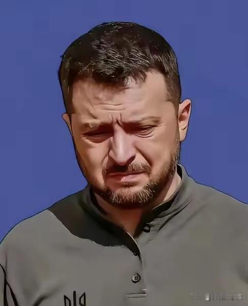 泽连斯基现在估计肠子都悔青了！

他后悔的不是当初坚决抵抗俄罗斯的入侵，也不是向