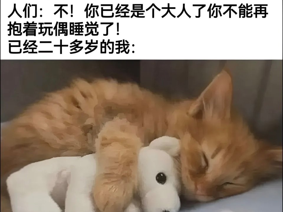 [抱一抱] ​​​