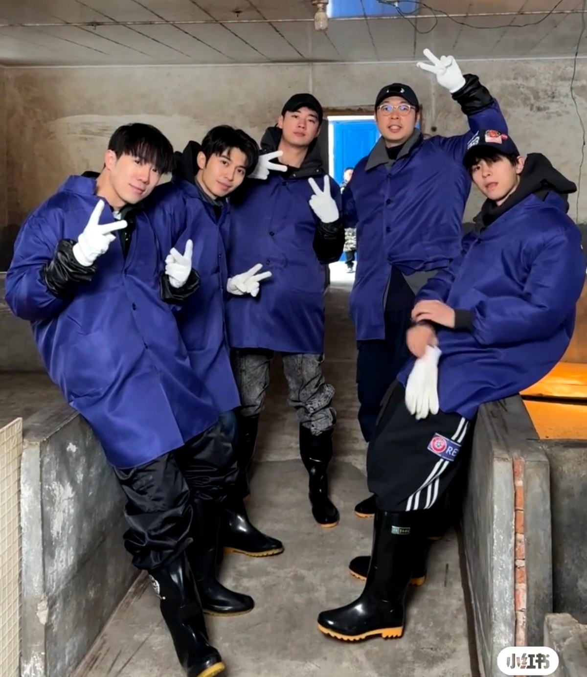 鹭卓 赵小童 陈少熙 王一珩 杜海涛可把小猪猪们吓坏了～猪猪:你不要过来啊！ 