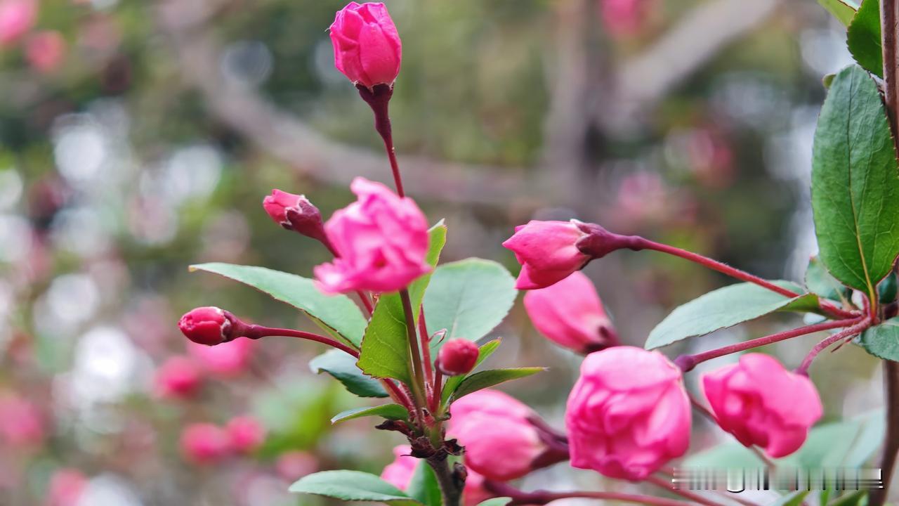 企业如何实现公平的绩效考核?📋之前服务过一家连锁咖啡店，老板每月只看“总营收”