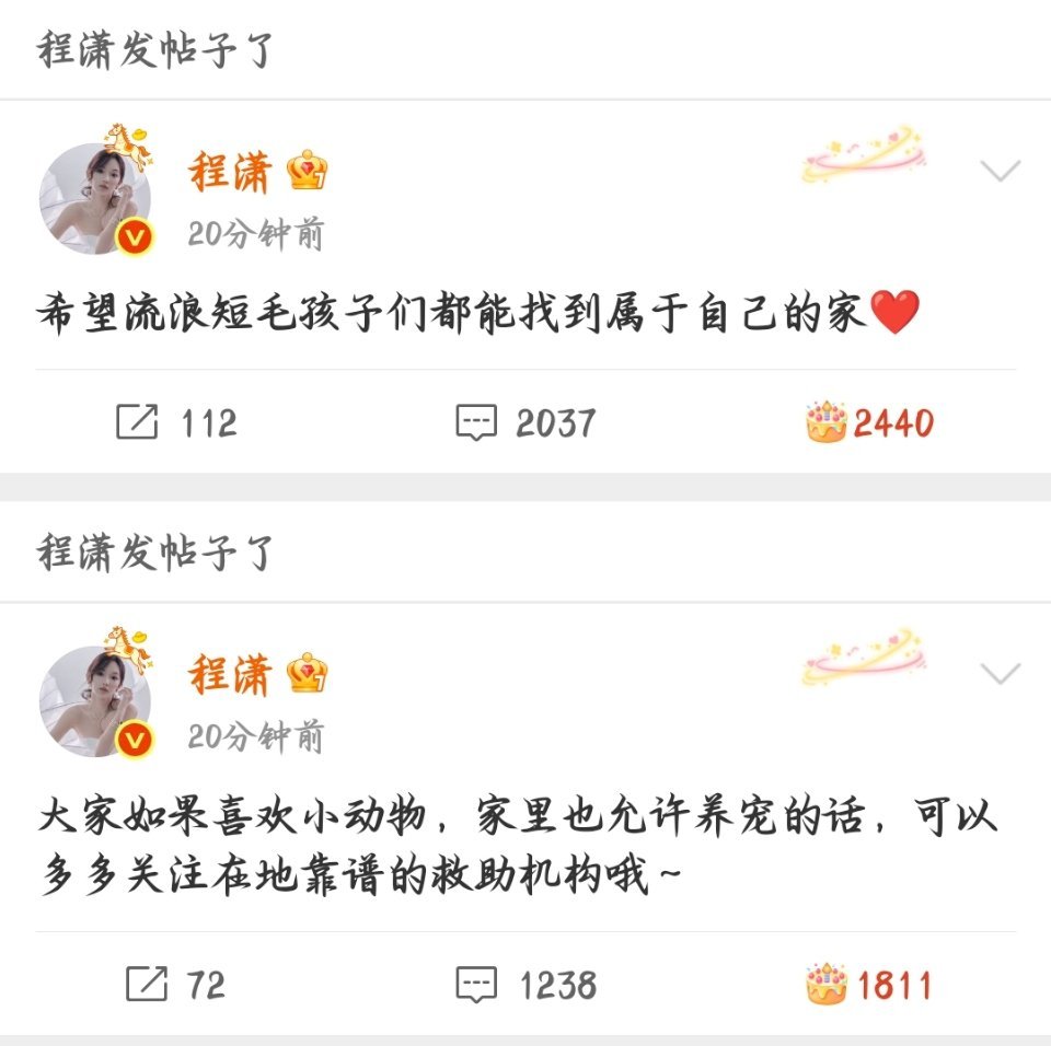我的天使女孩🤏 