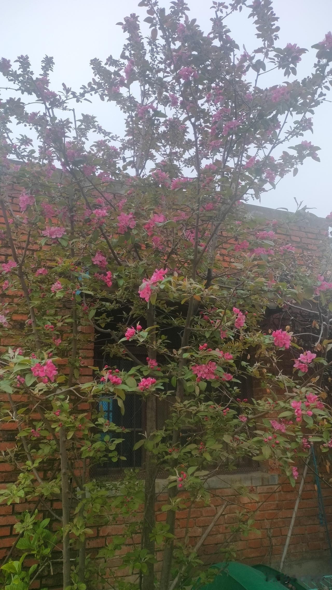 聪明人、傻子都能过得幸福，只有既不聪明又不傻的人，在世上最难混。舅舅的几句话，竟