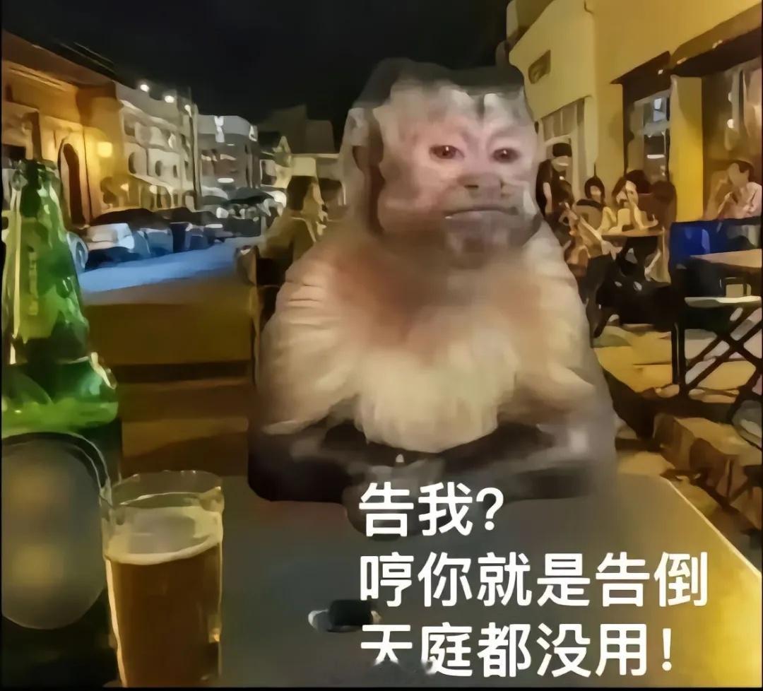 觉醒之战里，你们有没有遇到过特别厉害的组合？昨天遇到了一个阿轲加ad瑶妹，来无影
