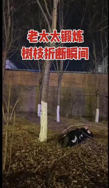 你欺负人家树🌲，树🌲也会“生气”报复的。