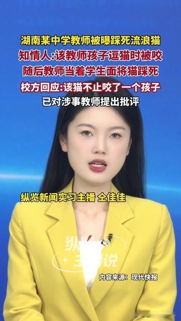 你上学时有没有过编外小同桌？
走廊转角的橘猫，蹲在你抽屉边等饼干，运动会跟着你跑