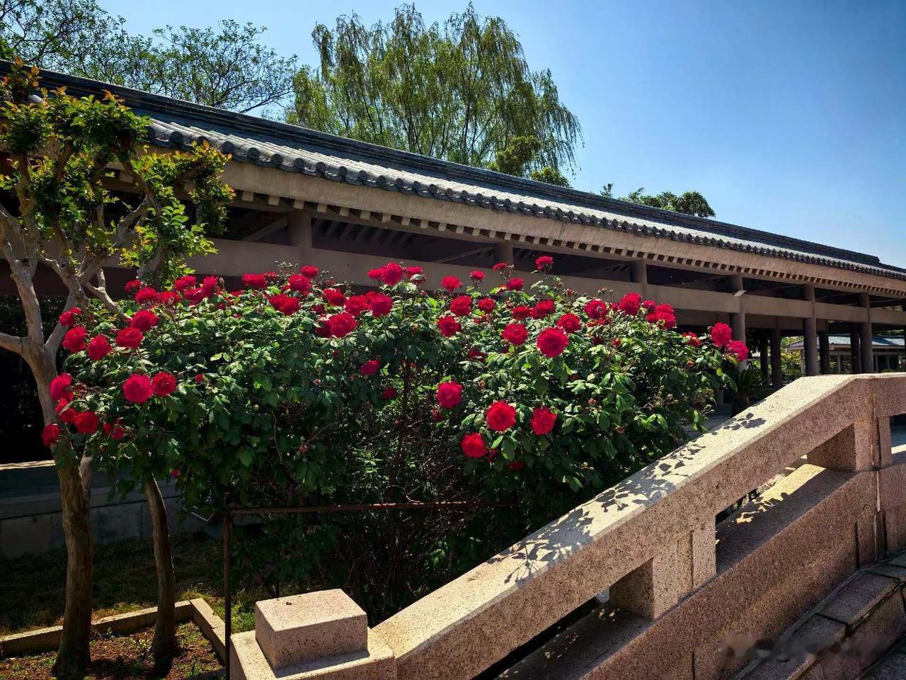 【小对联】
上：赤县；
下：……？