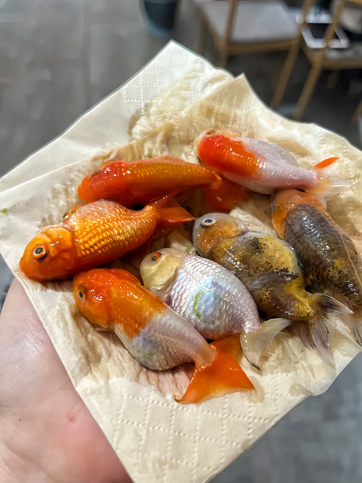 是谁跟我说不用打氧的？