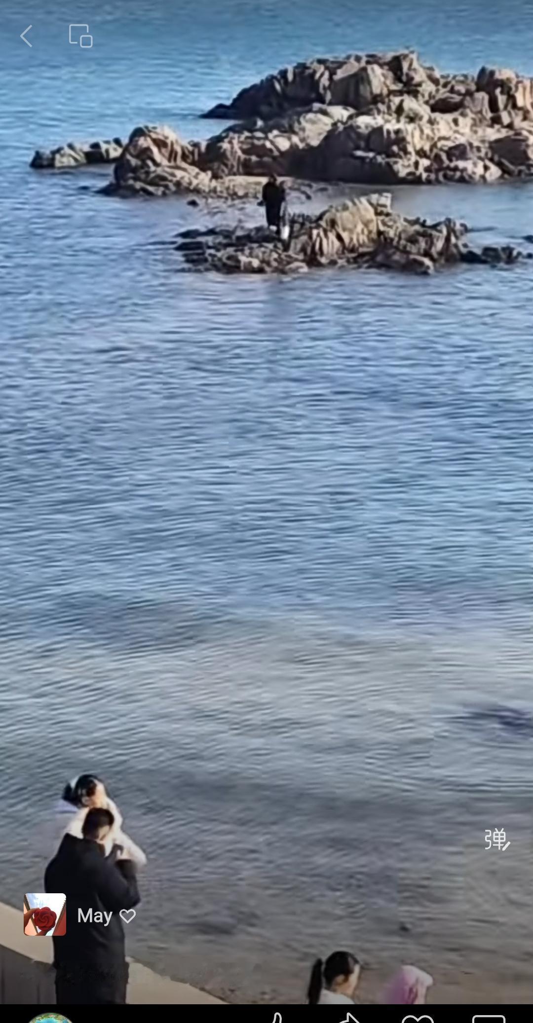 明知山有虎，偏向虎上行，今年青岛第一对